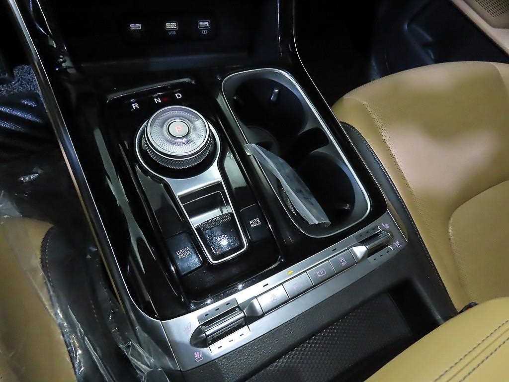 KIA Carnival - Vista 12