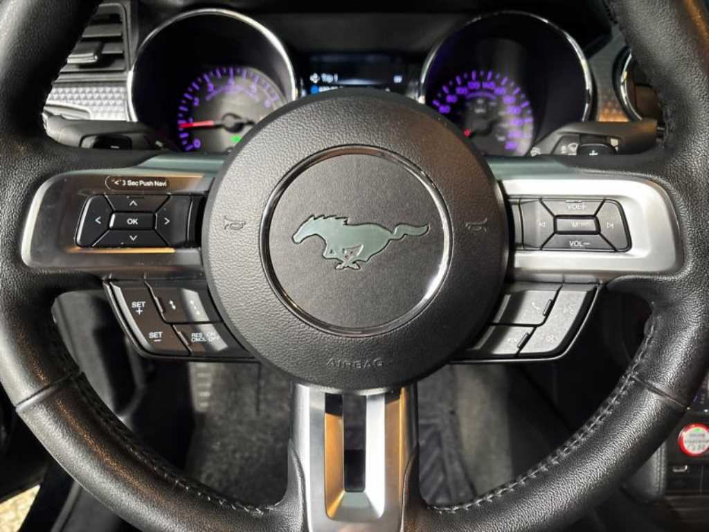 Ford Mustang - Vista 12