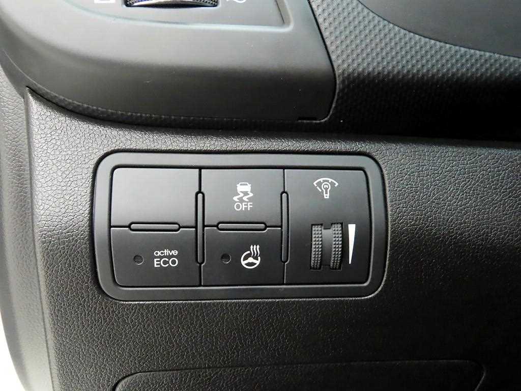 HYUNDAI Accent - Vista 12