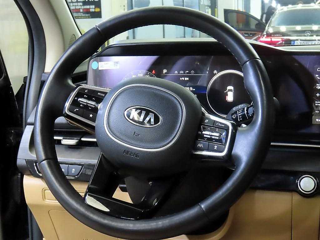 KIA Carnival - Vista 8