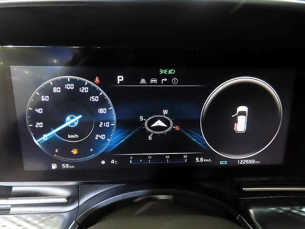 KIA Carnival - Vista 9