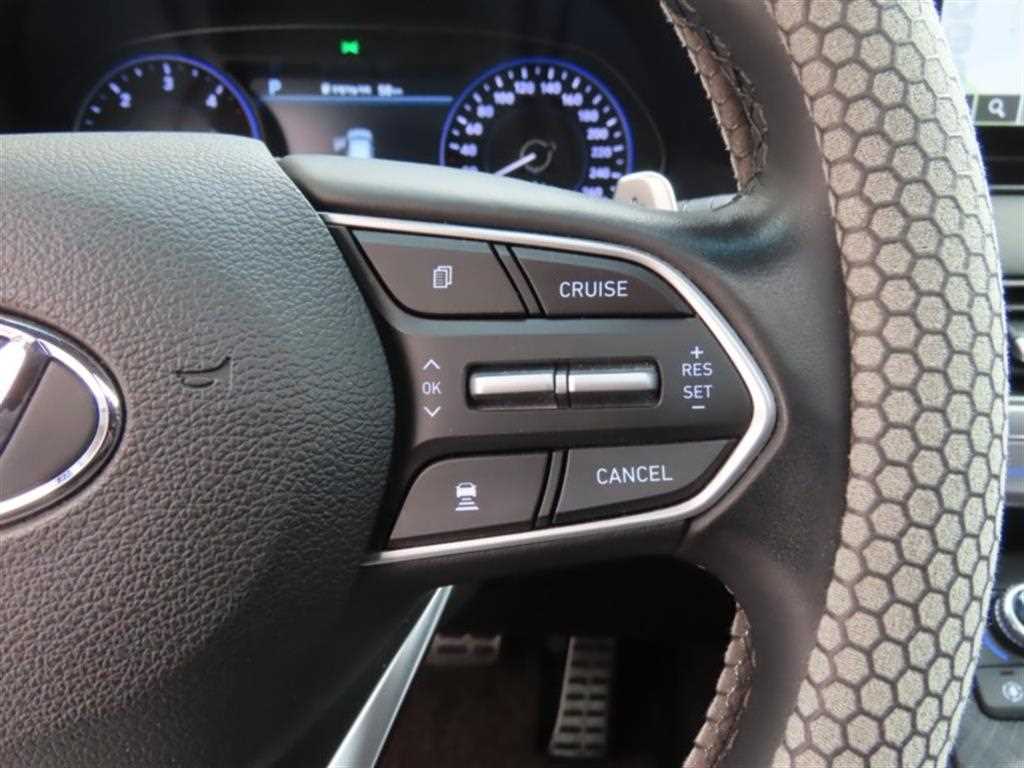 HYUNDAI Palisade - Vista 10