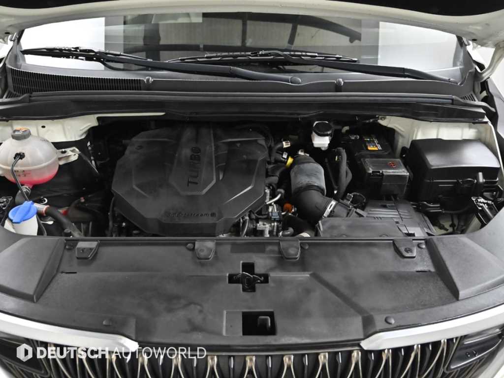 KIA Carnival - Vista 6