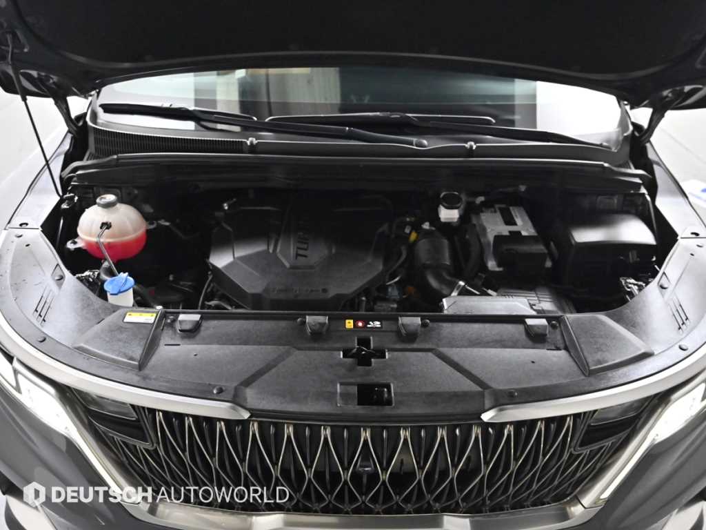 KIA Carnival - Vista 6