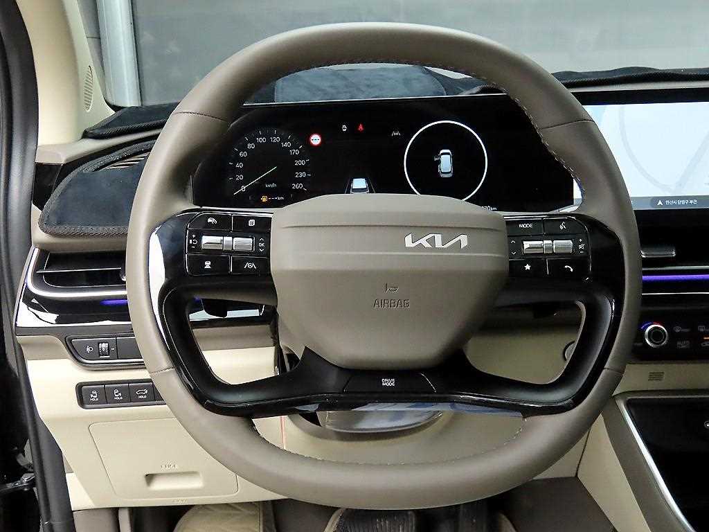 KIA Carnival - Vista 9