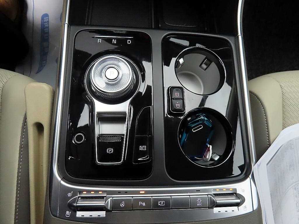 KIA Carnival - Vista 10