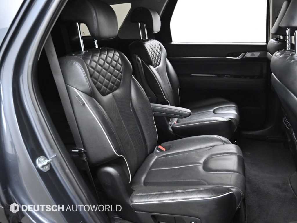 HYUNDAI Palisade - Vista 12