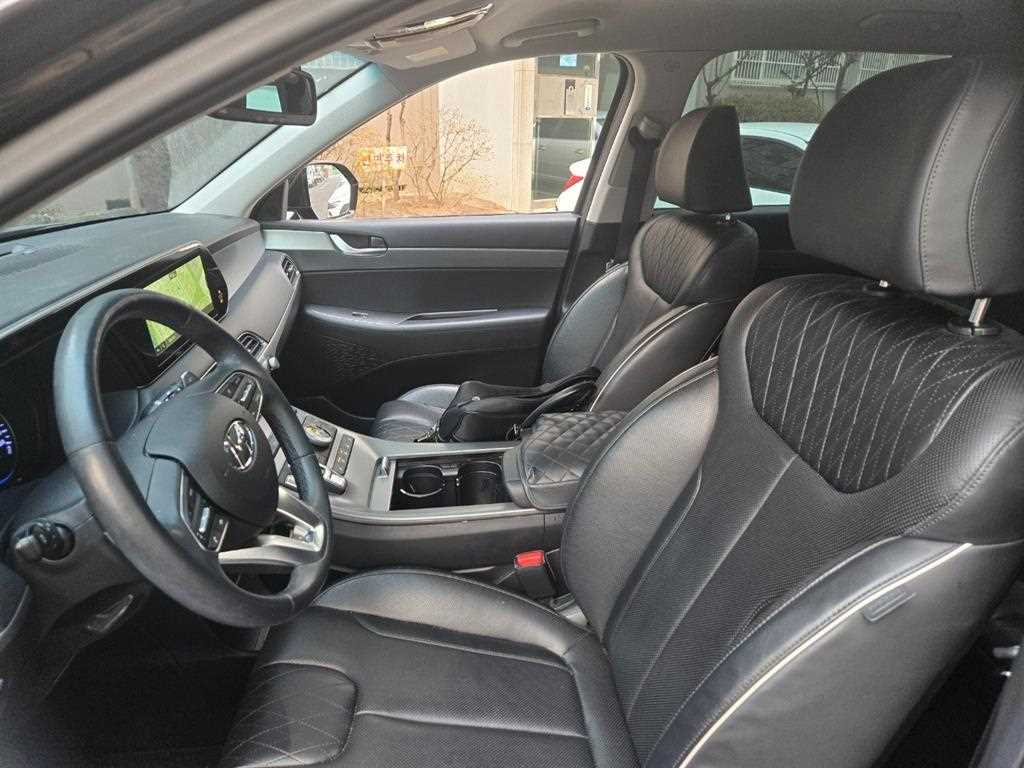 HYUNDAI Palisade - Vista 9