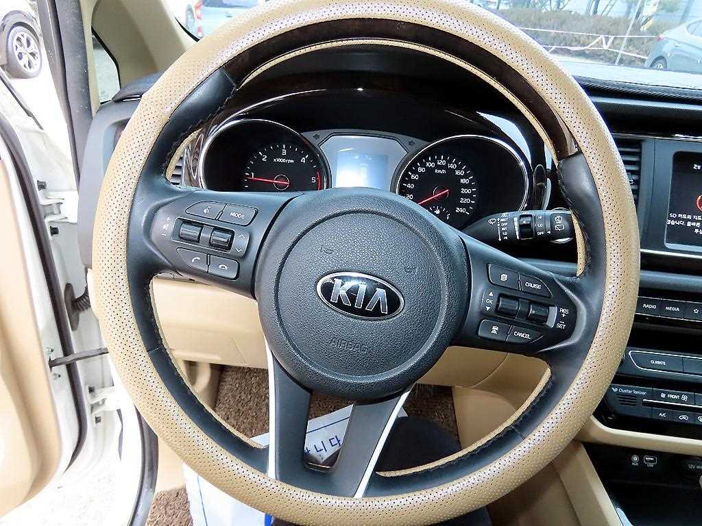 KIA Carnival - Vista 8