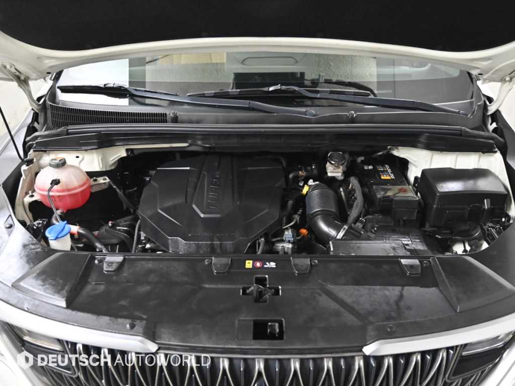 KIA Carnival - Vista 6