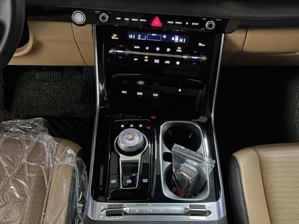 KIA Carnival - Vista 12