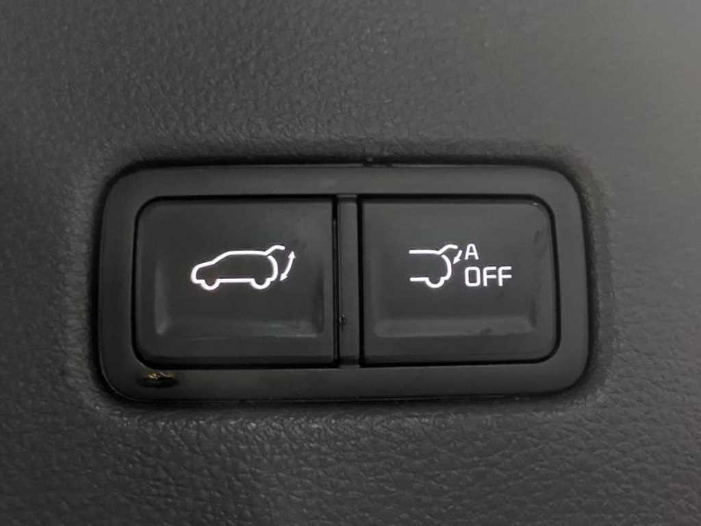 KIA Carnival - Vista 8