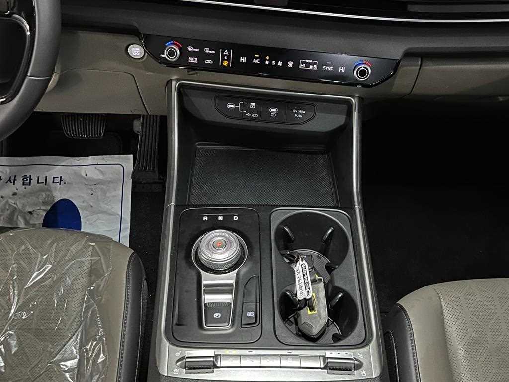 KIA Carnival - Vista 10