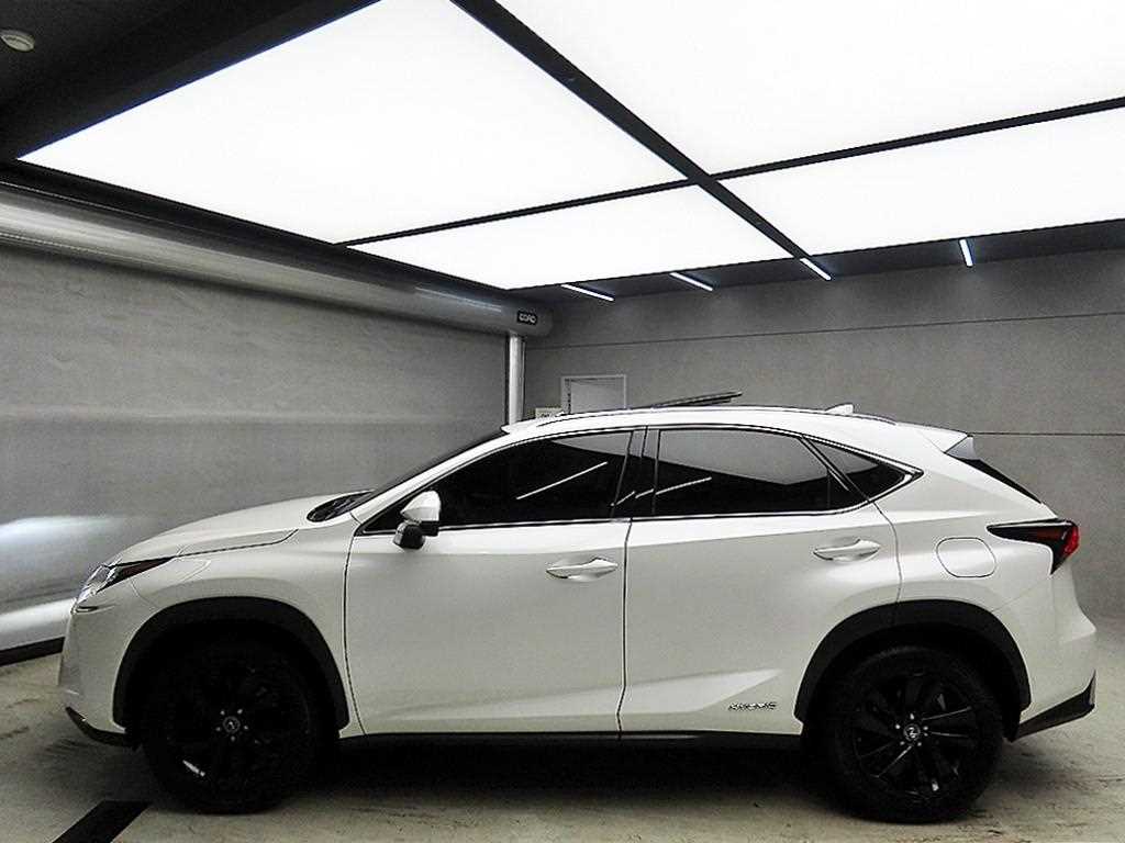 Lexus NX - Vista 4