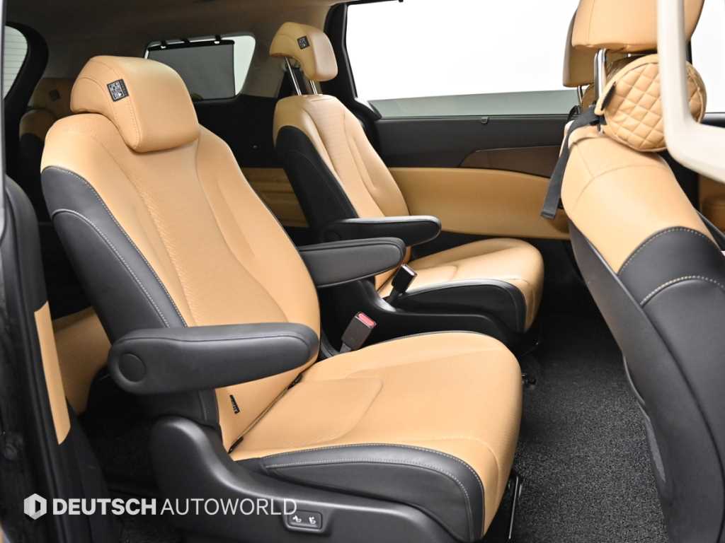 KIA Carnival - Vista 12