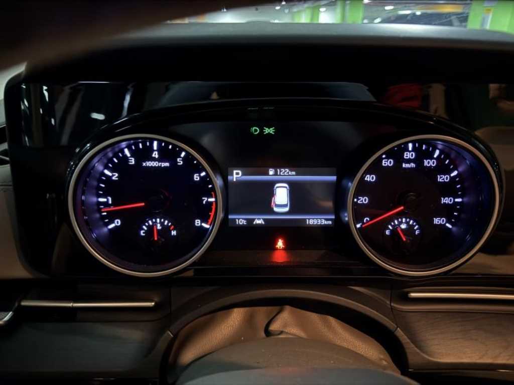 KIA Carnival - Vista 11