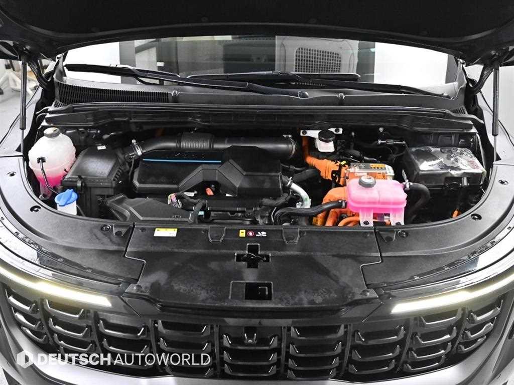 KIA Carnival - Vista 6