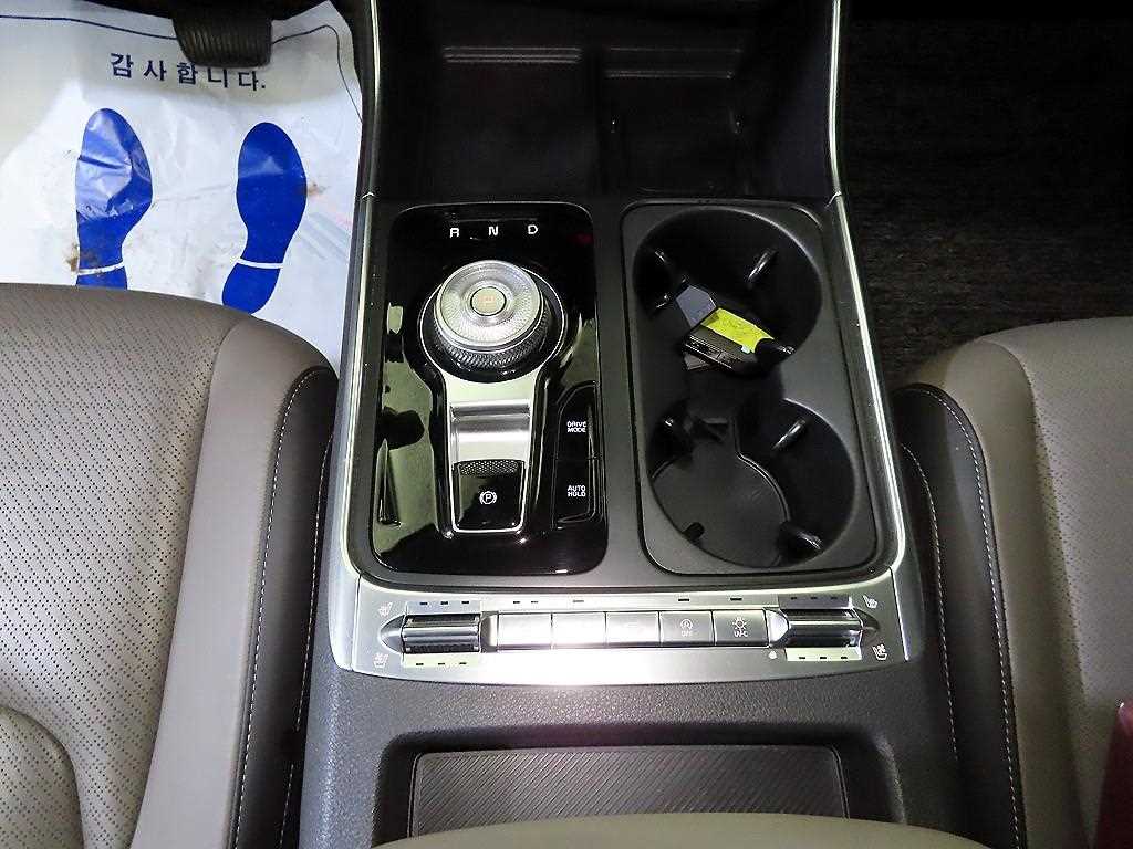 KIA Carnival - Vista 12