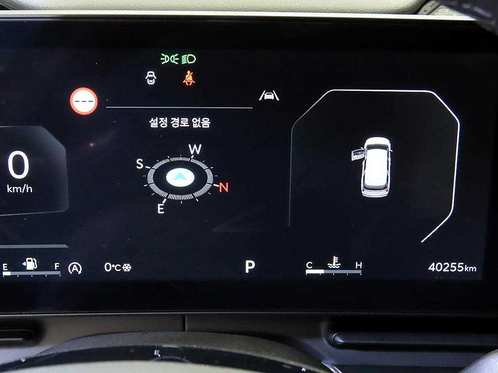 KIA Carnival - Vista 9