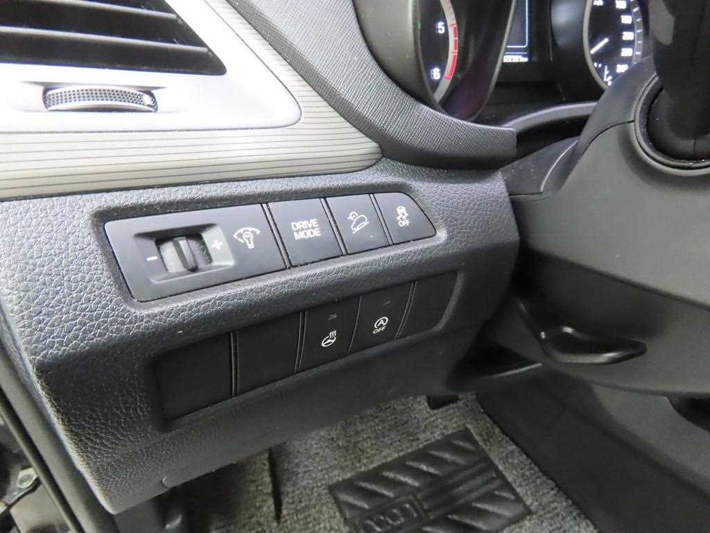 HYUNDAI Maxcruz - Vista 10