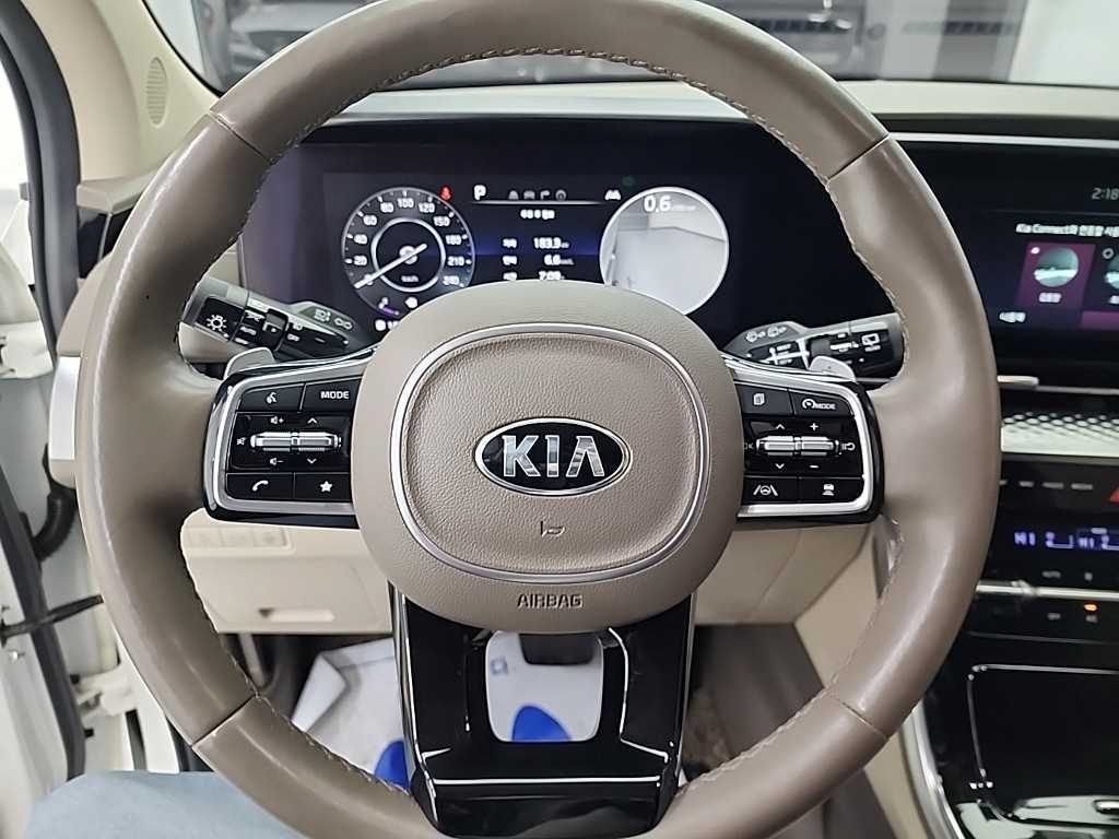 KIA Carnival - Vista 9