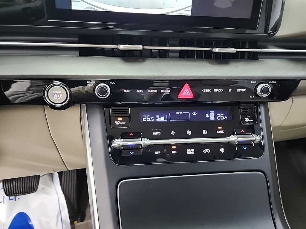 KIA Carnival - Vista 10