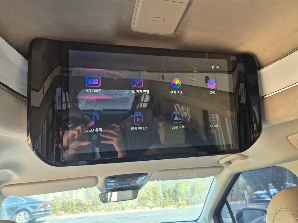 KIA Carnival - Vista 9