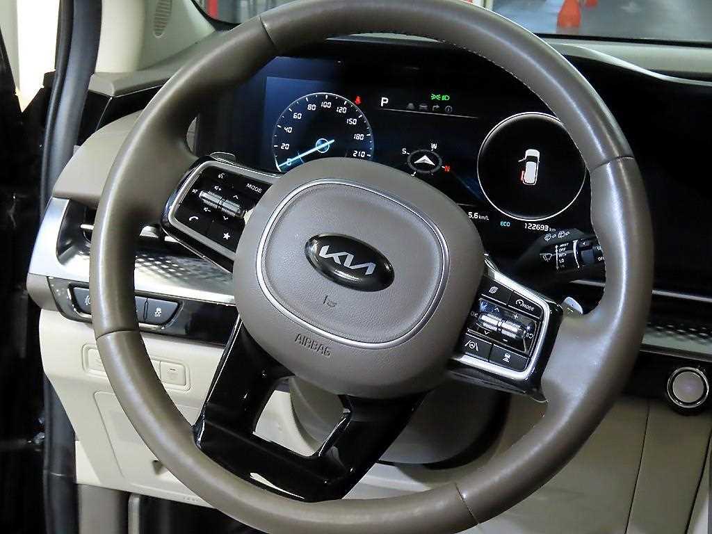 KIA Carnival - Vista 8