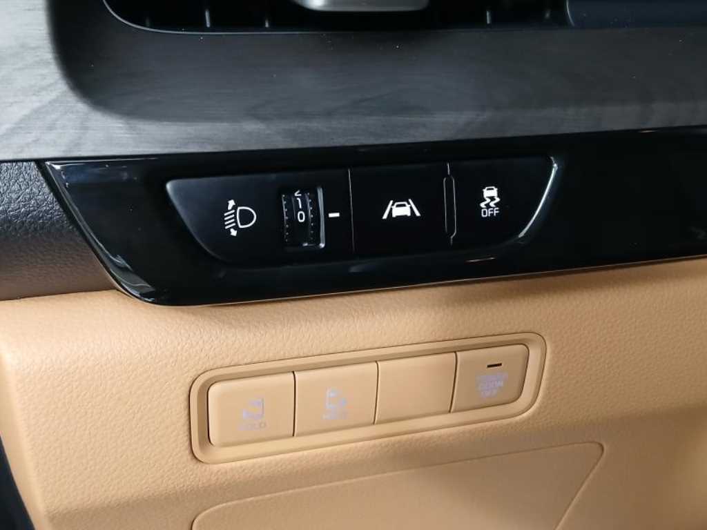 KIA Carnival - Vista 10