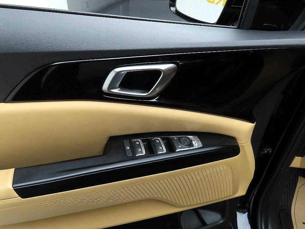 KIA Carnival - Vista 11