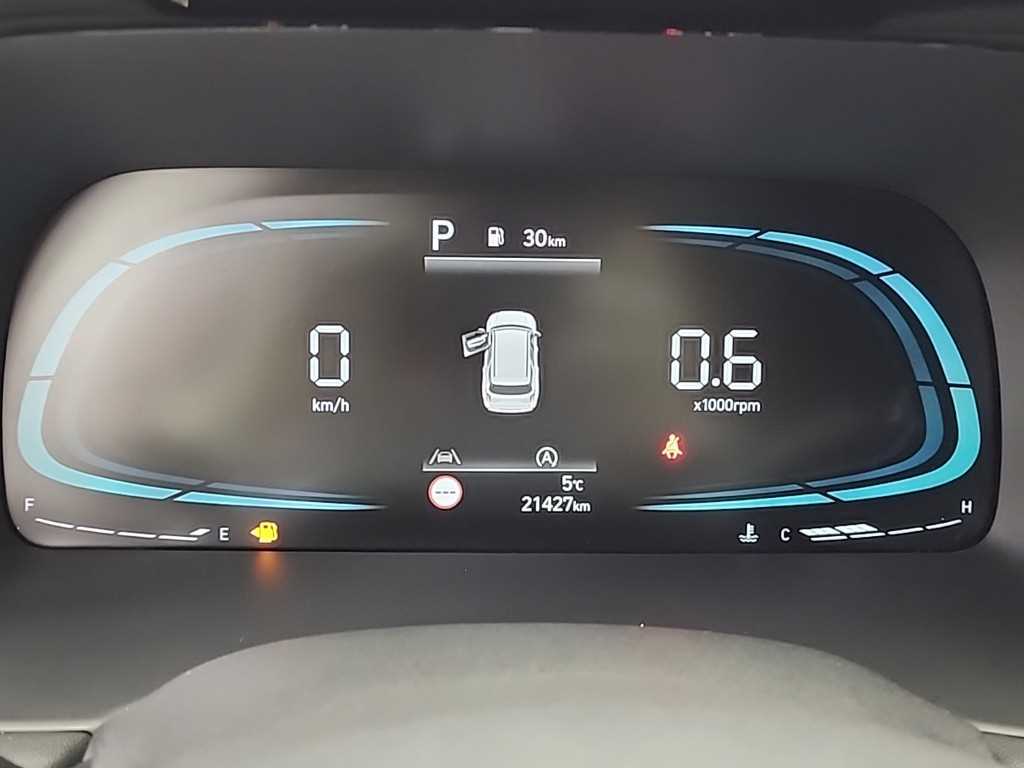 HYUNDAI Palisade - Vista 6