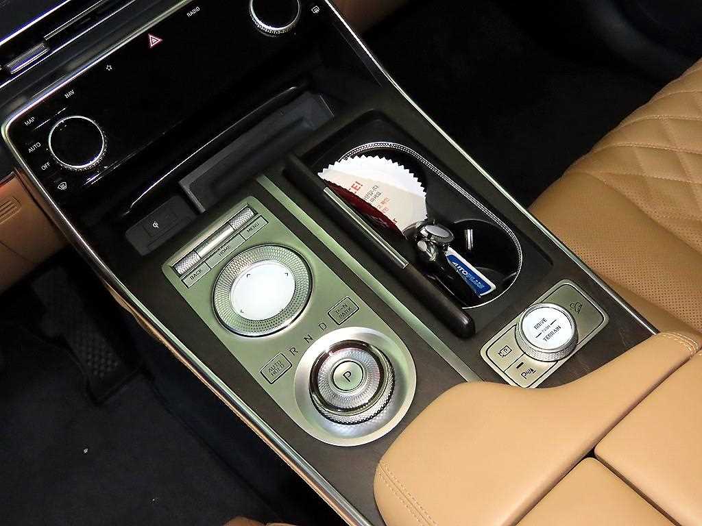 Genesis GV80 - Vista 12