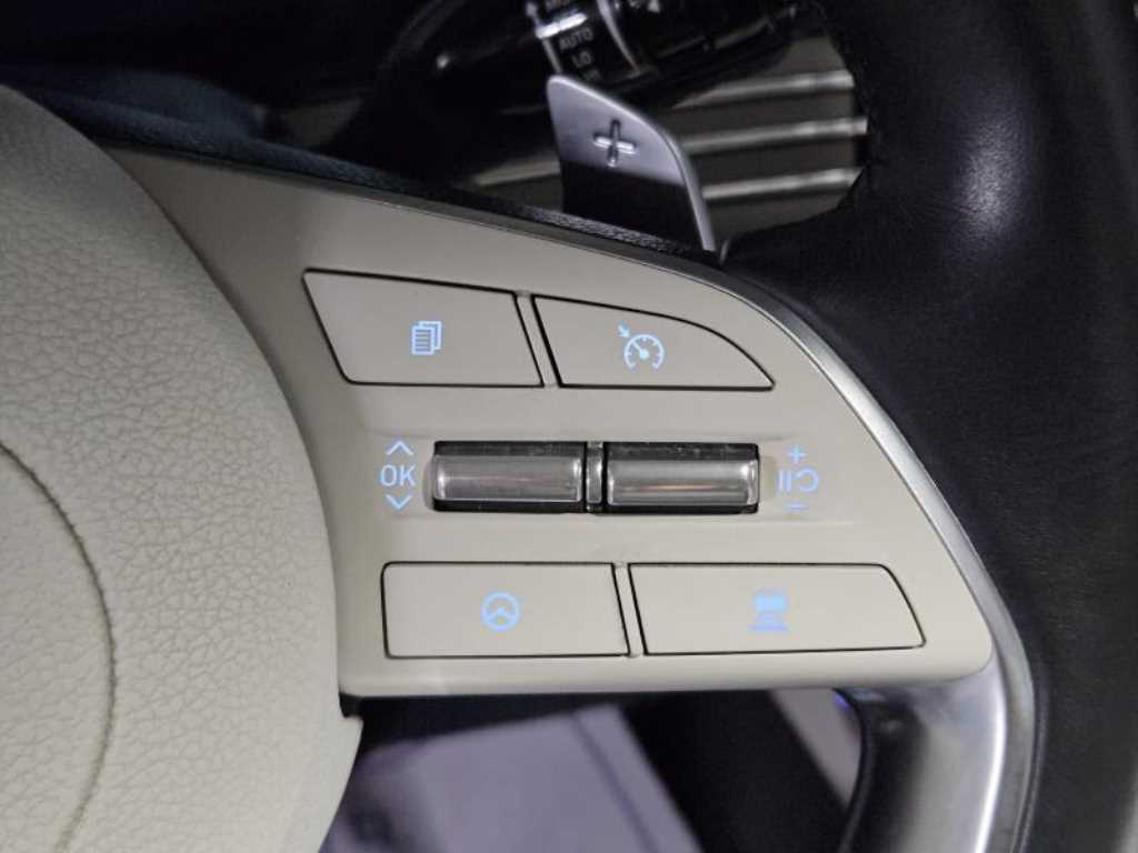 HYUNDAI Grandeur - Vista 10