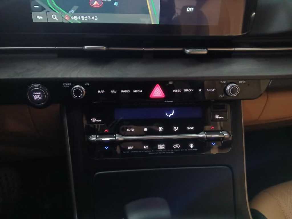 KIA Carnival - Vista 12