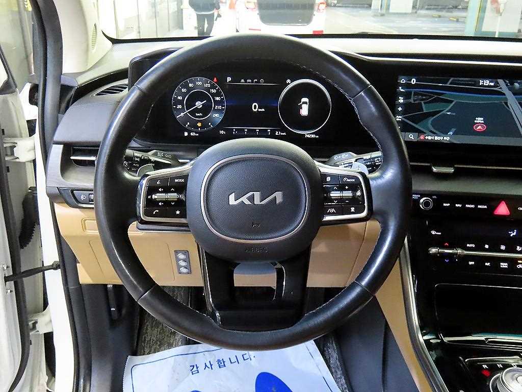 KIA Carnival - Vista 8
