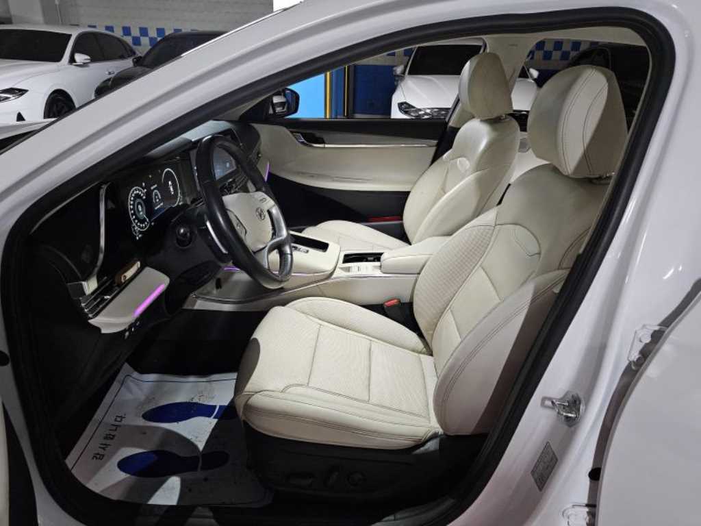 HYUNDAI Grandeur - Vista 6