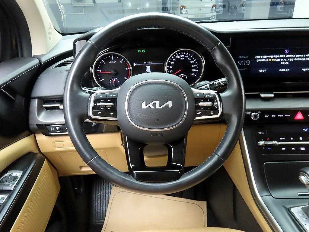KIA Carnival - Vista 7