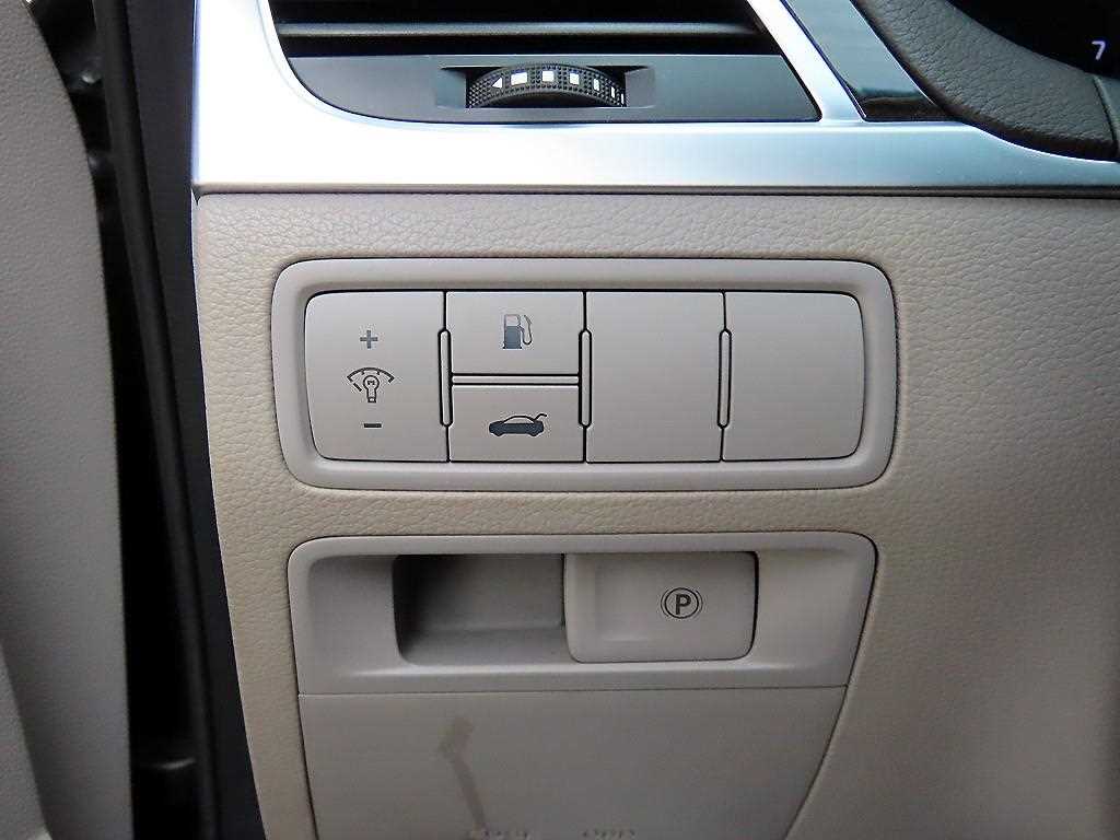 Genesis G80 - Vista 12