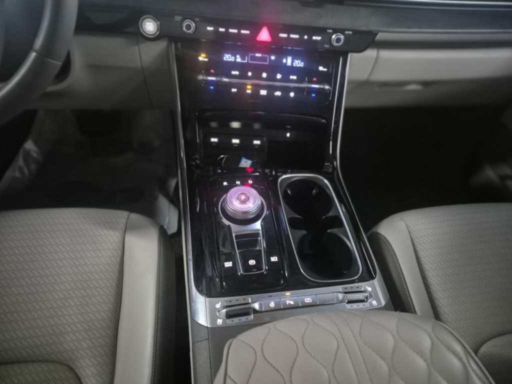 KIA Carnival - Vista 9