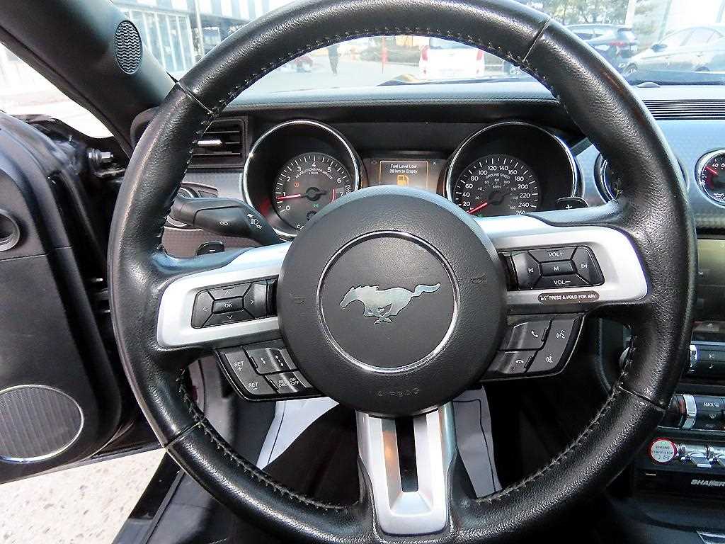 Ford Mustang - Vista 12