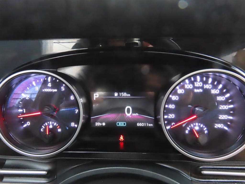 KIA Carnival - Vista 8