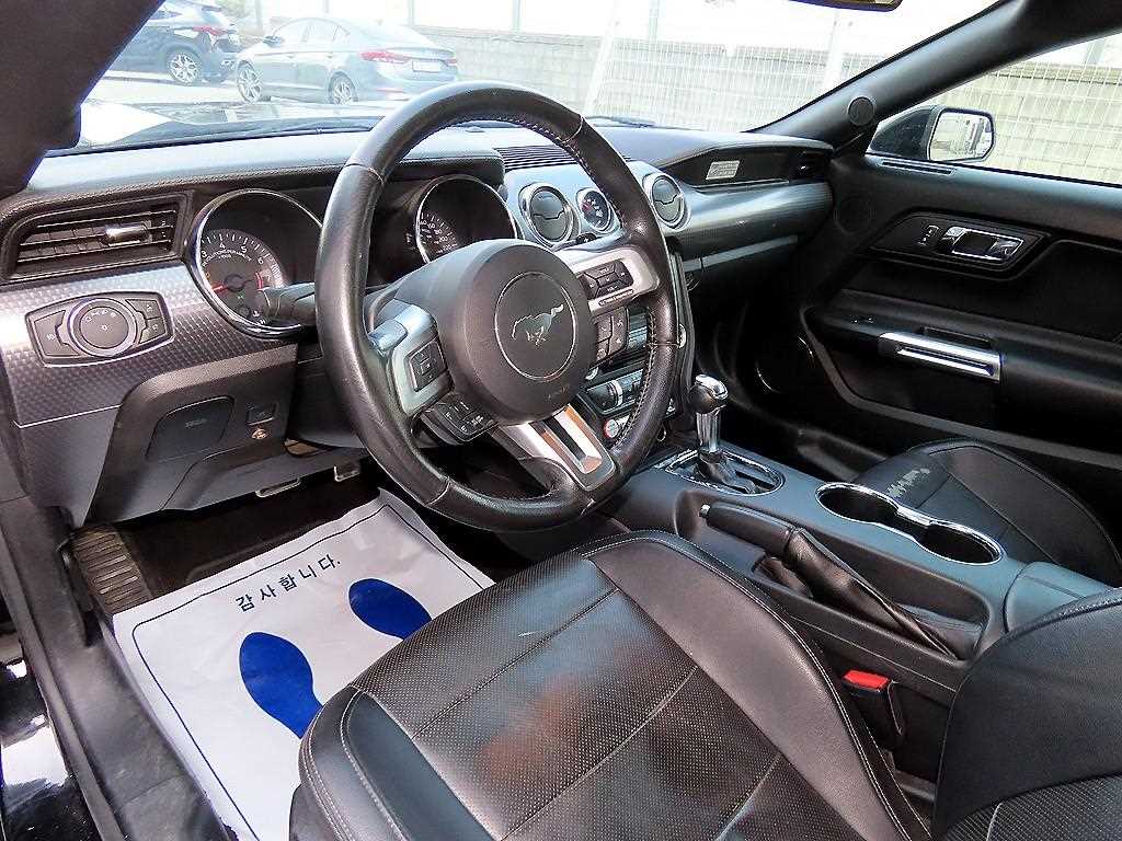 Ford Mustang - Vista 11