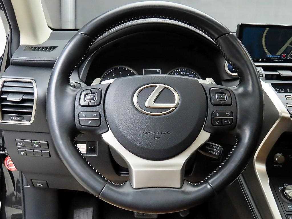 Lexus NX - Vista 9