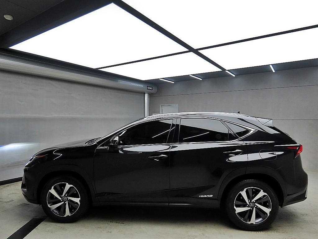 Lexus NX - Vista 4