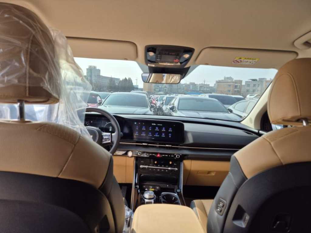 KIA Carnival - Vista 10