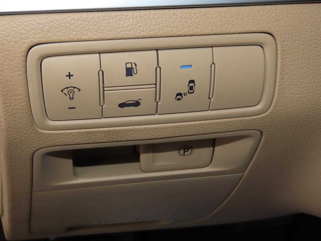 Genesis G80 - Vista 11