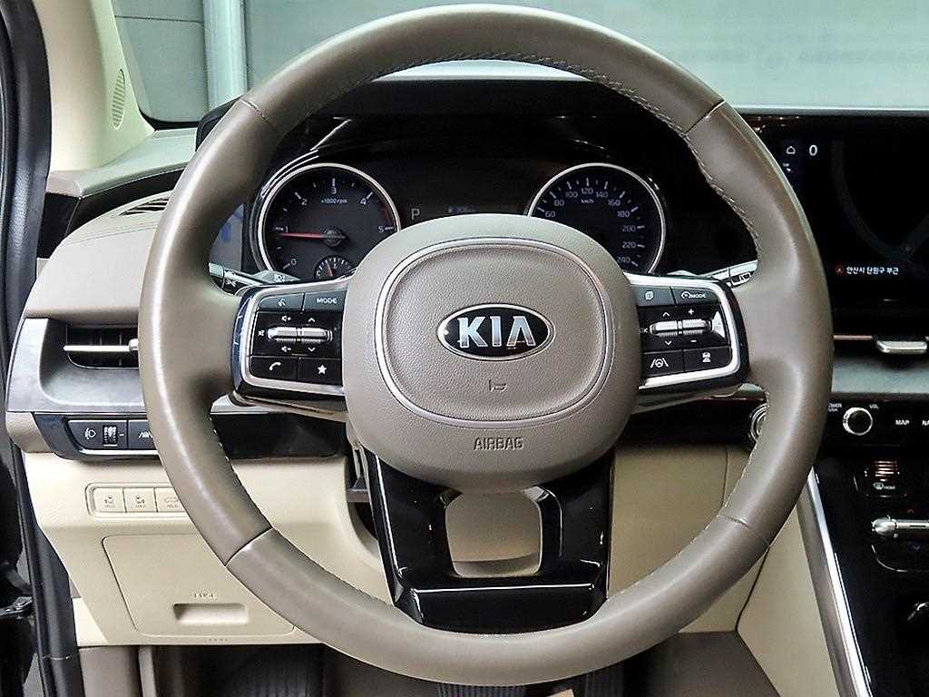 KIA Carnival - Vista 9
