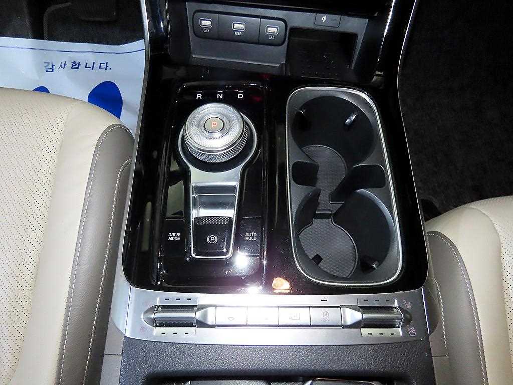 KIA Carnival - Vista 12