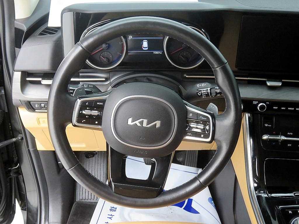 KIA Carnival - Vista 10