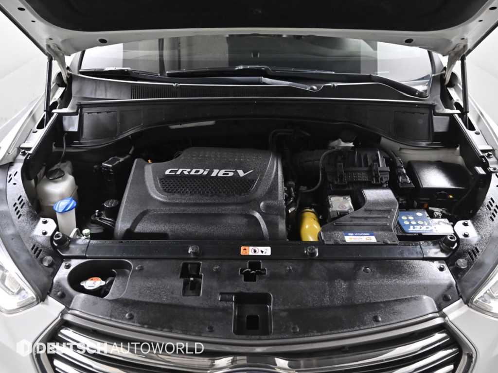 HYUNDAI Maxcruz - Vista 6